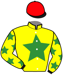 casaque portée par Lamy A. jockey du cheval de course LAPONIE D'EMMA, information pmu ZETURF