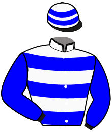 casaque portée par Mottier M. jockey du cheval de course INITIALE CASTELETS, information pmu ZETURF