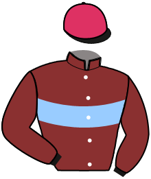 casaque portée par Desmigneux F. jockey du cheval de course ELIXIR, information pmu ZETURF