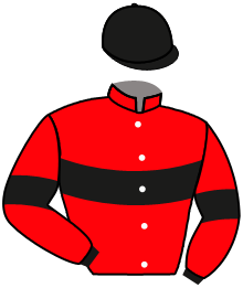 casaque portée par Soumillon C. jockey du cheval de course SYDNEY SUNSET, information pmu ZETURF