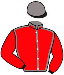 casaque portée par Pouchin A. jockey du cheval de course LIKE LINDY, information pmu ZETURF