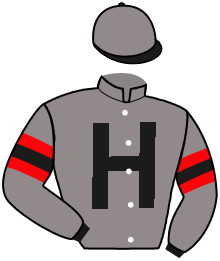 casaque portée par Demuro C. jockey du cheval de course WILKO, information pmu ZETURF