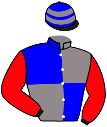 casaque portée par Weissmeier Mlle E. R. jockey du cheval de course MAGIC TOPISSIMA, information pmu ZETURF