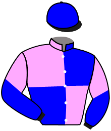 casaque portée par Lemaitre A. jockey du cheval de course CALOUNIYA, information pmu ZETURF