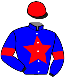 casaque portée par Chauve-laffay Q. jockey du cheval de course MYLOVE DES RIVIERE, information pmu ZETURF