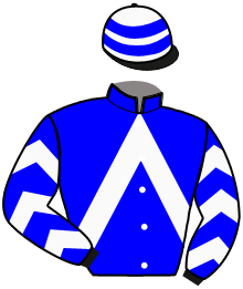 casaque portée par Danthu Ph. jockey du cheval de course MORNINGSUN DU RHIN, information pmu ZETURF