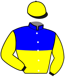 casaque portée par Chauve-laffay Q. jockey du cheval de course MAKING TIME, information pmu ZETURF