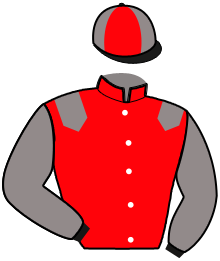 casaque portée par Mlle Laroche A. jockey du cheval de course JOIE DES ILES, information pmu ZETURF