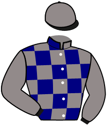 casaque portée par Fedry B. jockey du cheval de course JOSELITO PHIL, information pmu ZETURF