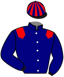casaque portée par Gelormini G. jockey du cheval de course KUEEN DE TILLARD, information pmu ZETURF