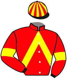 casaque portée par Schwartz B. jockey du cheval de course HELENA DU MOUCHEL, information pmu ZETURF
