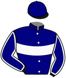 casaque portée par Besnier H. jockey du cheval de course MICHELANGELO, information pmu ZETURF