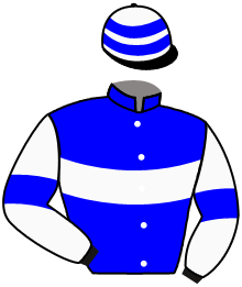 casaque portée par Merou Mlle A. jockey du cheval de course SWISS MONEY, information pmu ZETURF
