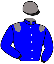 casaque portée par Merille C. jockey du cheval de course HEAVEN CITY, information pmu ZETURF