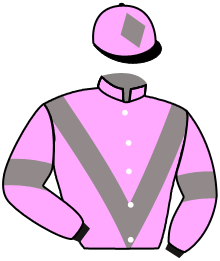 casaque portée par Werle A. jockey du cheval de course DREAM IN PINK, information pmu ZETURF