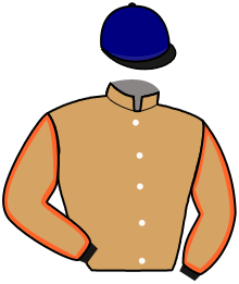 casaque portée par Sporli Tit. jockey du cheval de course GENTLEMAN DE REVE, information pmu ZETURF