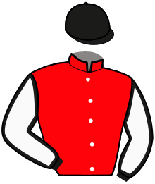 casaque portée par Desmigneux Mlle E. jockey du cheval de course MOGADOR JIEL, information pmu ZETURF