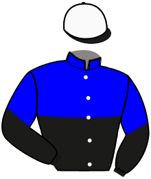casaque portée par Sucaet G. jockey du cheval de course MIDNIGHT DU VICLAU, information pmu ZETURF
