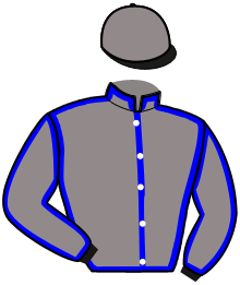 casaque portée par Blondeau A. jockey du cheval de course KATE DE LA BESVRE, information pmu ZETURF