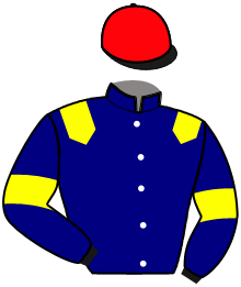 casaque portée par Ferrara Sav. jockey du cheval de course KIMOKA DE JORDAN, information pmu ZETURF