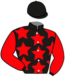 casaque portée par Michel M. jockey du cheval de course KILLER VICTORY, information pmu ZETURF