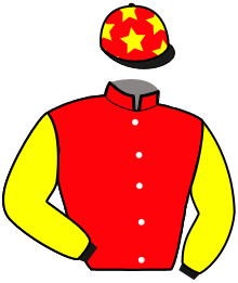casaque portée par Corbin R. jockey du cheval de course IDEAL DAY, information pmu ZETURF