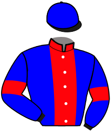casaque portée par Pateau V. jockey du cheval de course LEADER DU MAINE, information pmu ZETURF