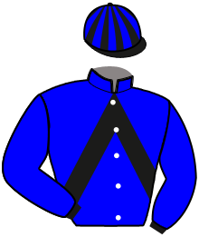 casaque portée par Gougeon S. jockey du cheval de course LANHELEN DU PILET, information pmu ZETURF