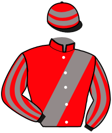 casaque portée par Giard F. jockey du cheval de course LINDIR, information pmu ZETURF