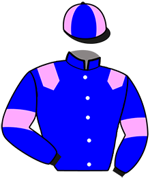 casaque portée par Lamy A. jockey du cheval de course HOLD UP RANAIS, information pmu ZETURF