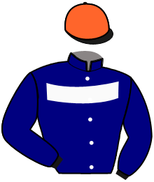 casaque portée par Rochard B. jockey du cheval de course Y NOT DIAMANT, information pmu ZETURF