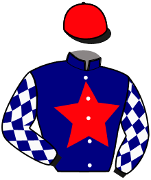 casaque portée par Nivard F. jockey du cheval de course LIGHT MY FIRE, information pmu ZETURF