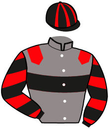 casaque portée par Clozier F. jockey du cheval de course MYELINE MANAZIF, information pmu ZETURF