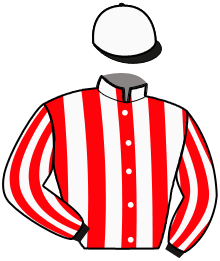 casaque portée par Delestre L. jockey du cheval de course MICHEL D'AUGERET, information pmu ZETURF