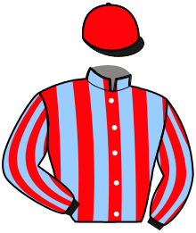 casaque portée par Gesret P. jockey du cheval de course LITTLEJO DE LIGNY, information pmu ZETURF