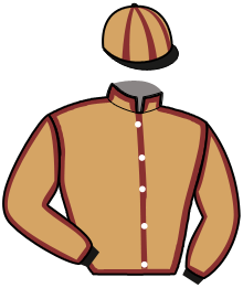 casaque portée par Weick M. jockey du cheval de course INDIGO BUROIS, information pmu ZETURF