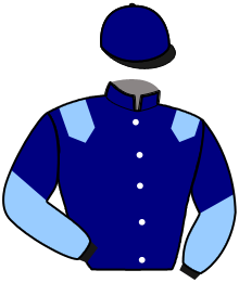 casaque portée par Saussaye V. jockey du cheval de course MA ROBERTA, information pmu ZETURF
