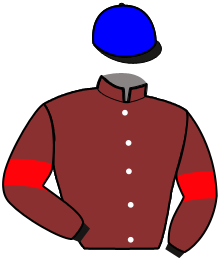 casaque portée par Lenault Mme J. jockey du cheval de course ILONA DE NERET, information pmu ZETURF
