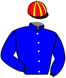 casaque portée par Colas Mlle M. jockey du cheval de course KALINKA DU PERCHE, information pmu ZETURF