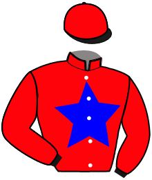 casaque portée par Andre A. jockey du cheval de course JACINTHE DES BOIS, information pmu ZETURF