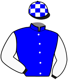 casaque portée par Enault C. jockey du cheval de course JENKA DE MORMOULIN, information pmu ZETURF