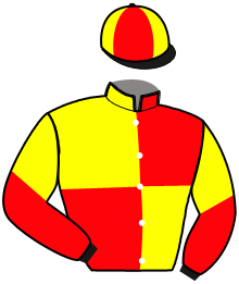 casaque portée par Ernault S. jockey du cheval de course HARRY D'OURVILLE, information pmu ZETURF
