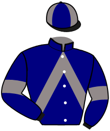casaque portée par Lamy A. jockey du cheval de course HENAO DE VICTHI, information pmu ZETURF