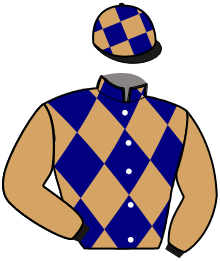 casaque portée par Andre A. jockey du cheval de course HELIOS D'EURVAD, information pmu ZETURF