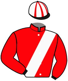 casaque portée par Leroulley J. jockey du cheval de course MY BUDDY, information pmu ZETURF