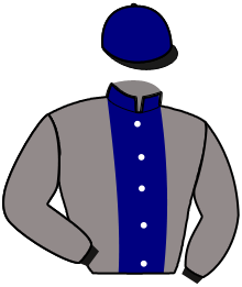 casaque portée par Pacha N. jockey du cheval de course MINTRA, information pmu ZETURF