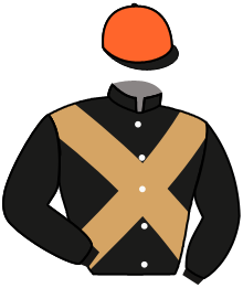 casaque portée par Baudoin-boin A. jockey du cheval de course FEEL THE MEASURE, information pmu ZETURF