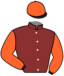 casaque portée par Barcelo Bisquerra Miq. J. jockey du cheval de course KIVABIEN D'ARNHEM, information pmu ZETURF