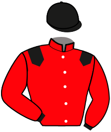 casaque portée par Verva M. jockey du cheval de course KINGSTON SAUTREUIL, information pmu ZETURF