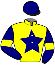 casaque portée par Piton J. Ch. jockey du cheval de course JAVA DES AUGERIES, information pmu ZETURF